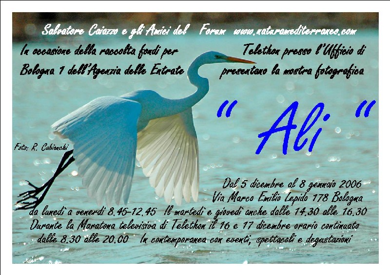 Invito alla mostra 
